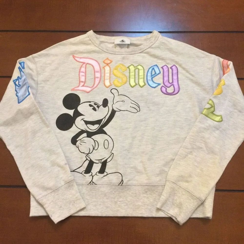 Disney gray multi block patch letter color spirit jersey sweatshirt long sleeve